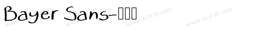 Bayer Sans字体转换